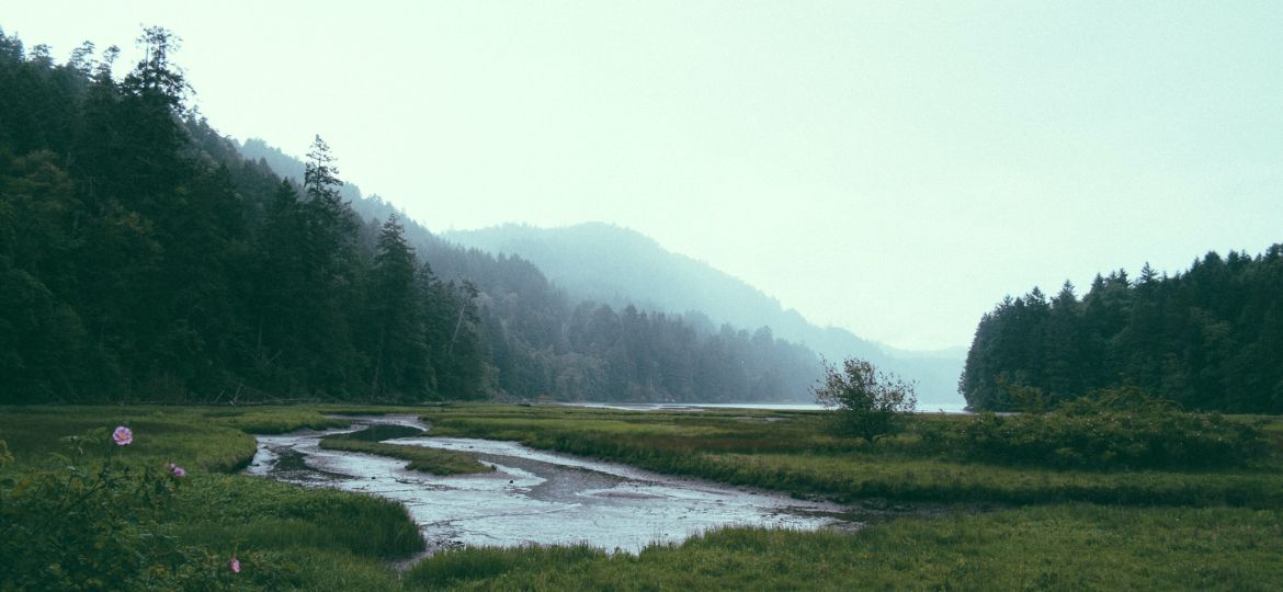 paul-jarvis-Cm7oKel-X2Q-unsplash_JP