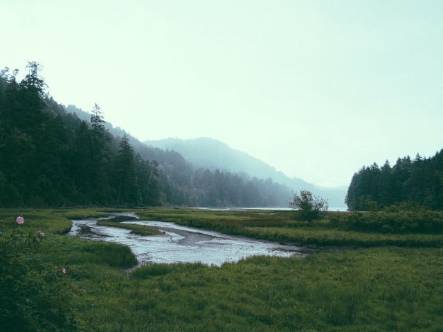 paul-jarvis-Cm7oKel-X2Q-unsplash_JP