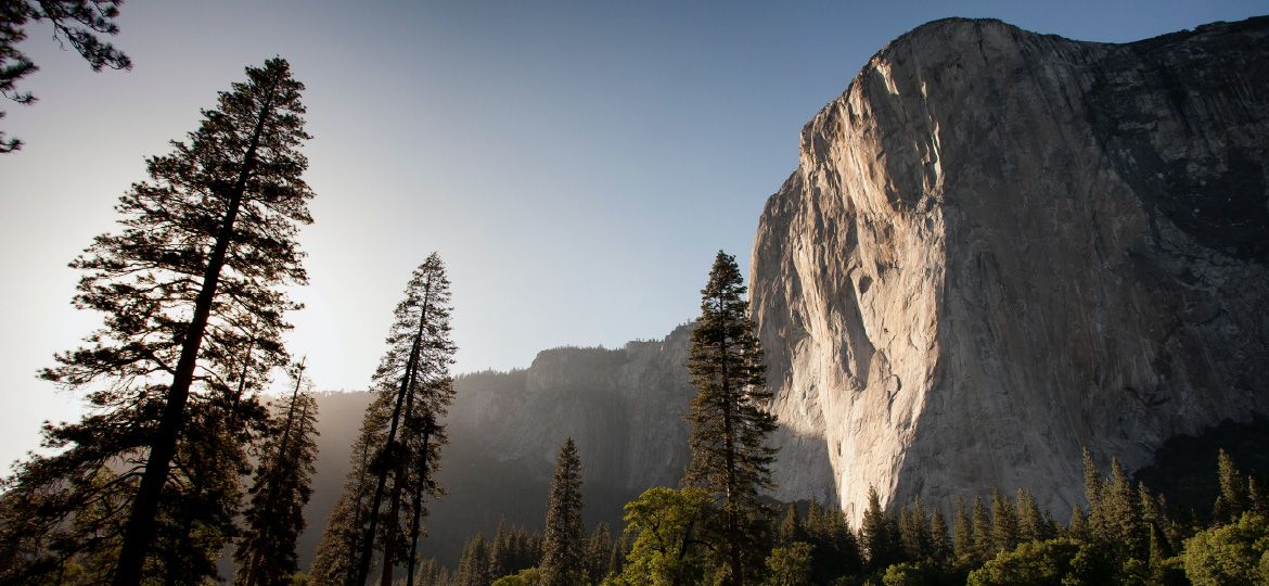 1170x540_adam-kool-unsplash_JP