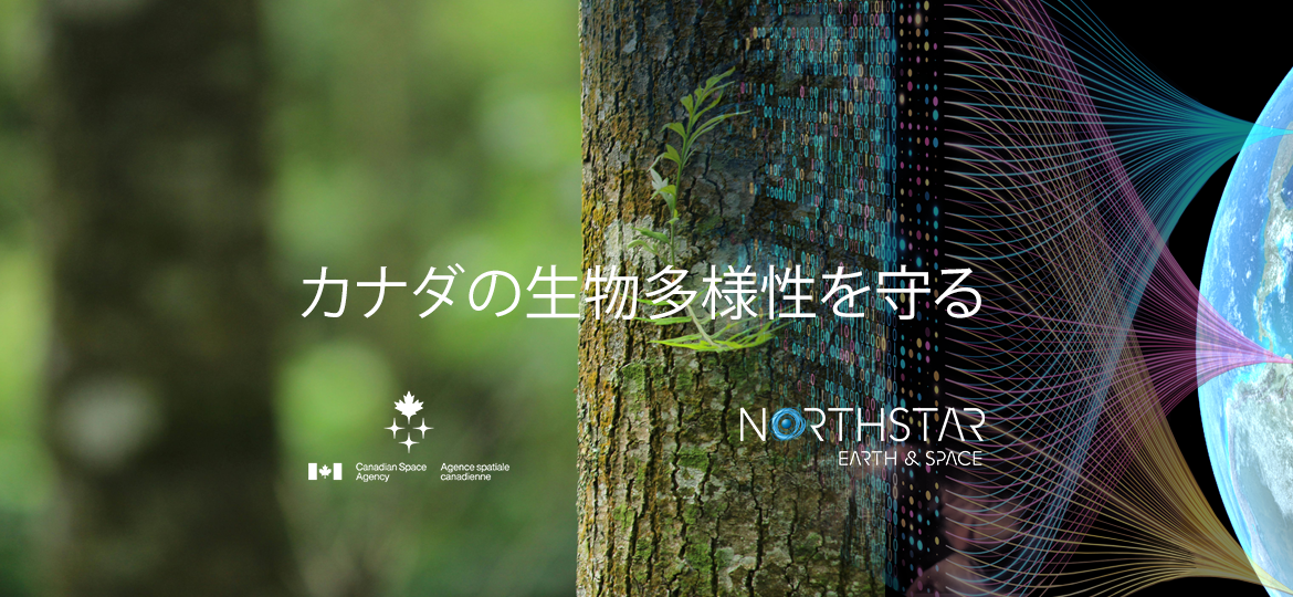 251017_AM_Safeguard_Canada's_Biodiversity_1170x540_JP