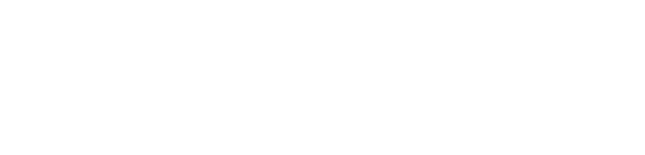 SIP-Gouvernement-2018-EN-1024x342